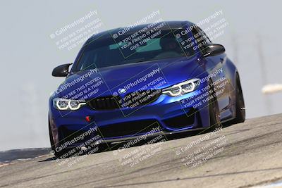 media/Jul-26-2025-Speed Ventures (Sat) [[fe569e6cf0]]/Black Group/Grapvine/